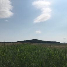 Wein-Berg