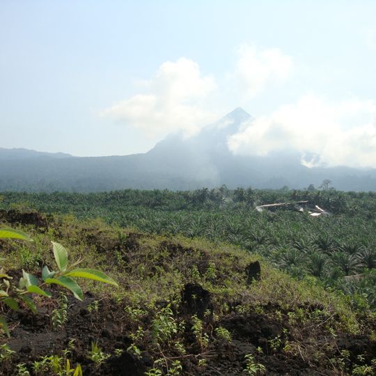 Little Mount Cameroon