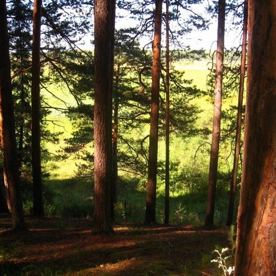 Kudymkarsky District