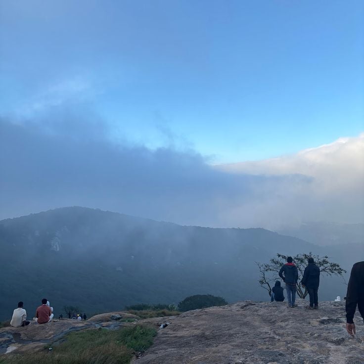 Horsley hills top point