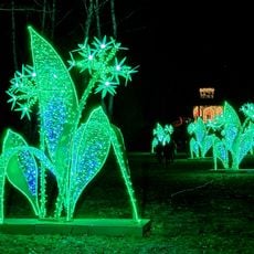 Sezonowa wystawa Książęcy Park Iluminacji ,,Baśniowe Zatonie”