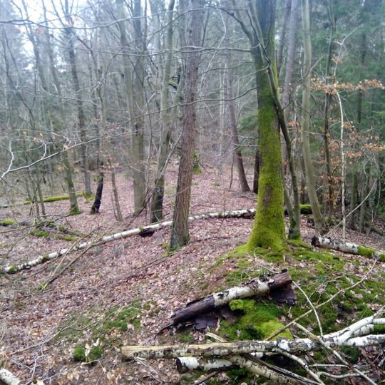 Viereckschanze von Rauenberg