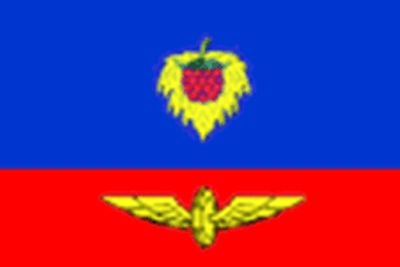 Flag 1