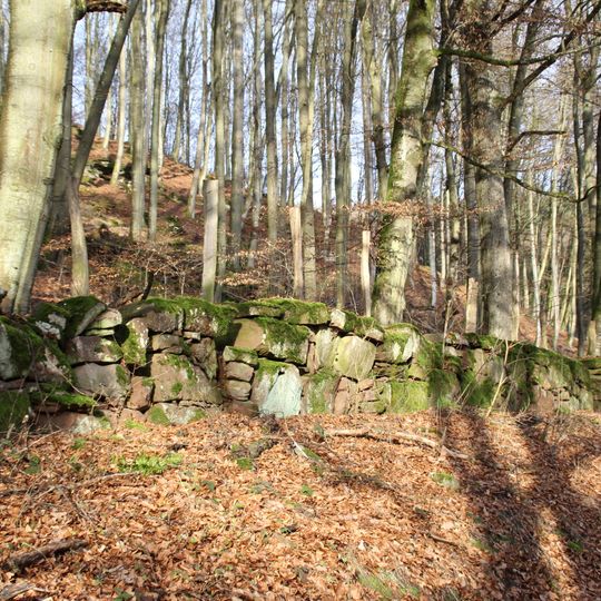 Fürstlich Löwensteinscher Park