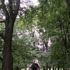 Lípa malolistá (22ks)