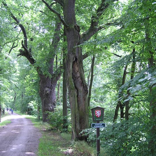 Stomořadí u Nové řeky