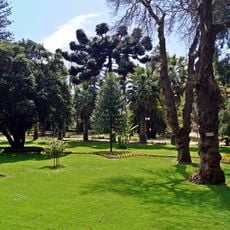 Quinta Vergara