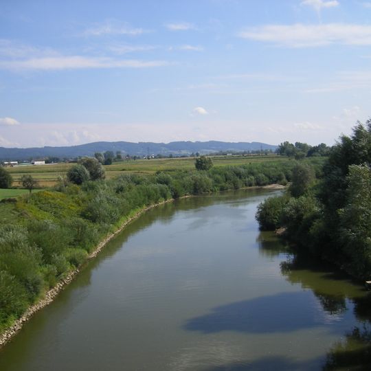 Wisłoka