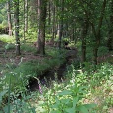 Naturschutzgebiet Schneppenthaler Bachtal und Mohlsbachtal