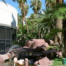 The Flamingo's Wildlife Habitat