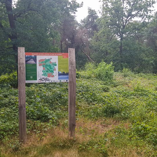 Terrein waarin vier grafheuvels