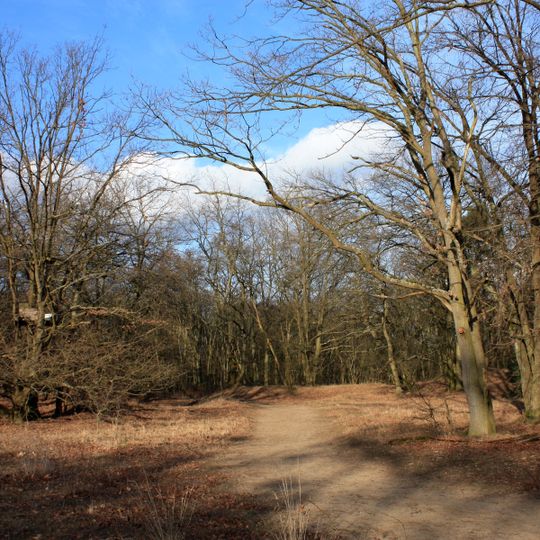 Mainzer Sand Teil II