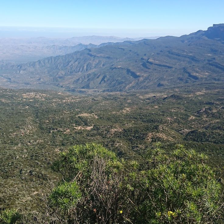 Parco Nazionale della Foresta Daalo