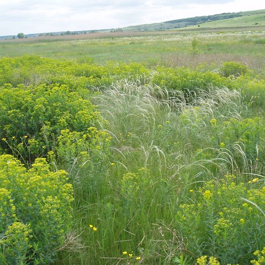 Klymivskyi Botanical Reserve