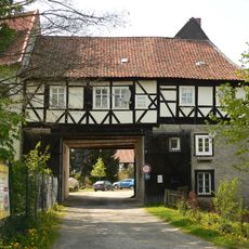 Burgruine Vienenburg