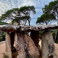 Parc del Montnegre i el Corredor