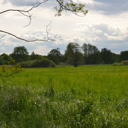 Fredersdorfer Mühlenfließ, Breites und Krummes Luch