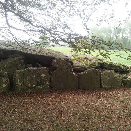 Labbacallee wedge tomb