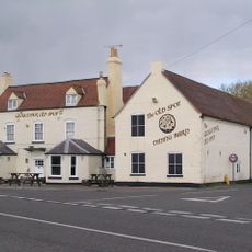 The Gloucester Old Spot