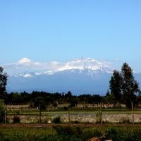 Region Maule