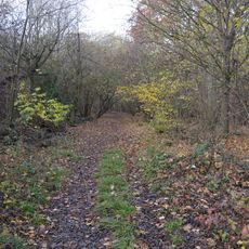 Papworth Wood