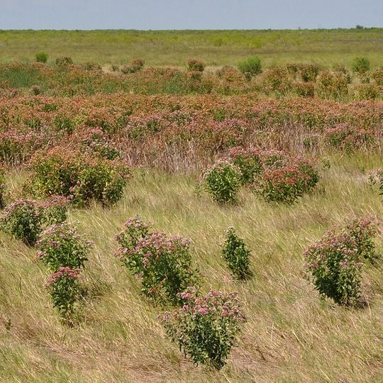 Brazoria National Wildlife Refuge