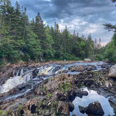 J.T. Cheeseman Provincial Park