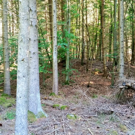 Viereckschanze Tannheim