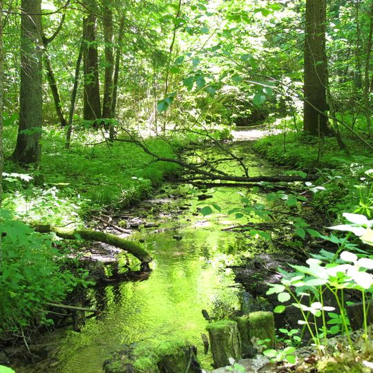 Nature reserve Budzisk