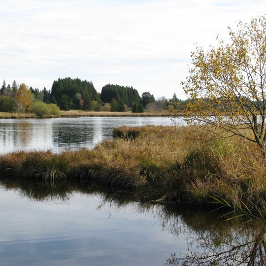 Schwarzenberger Weiher mit Wintermoos und Sennenmoos