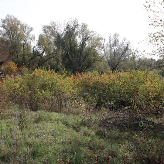 Schutz eines Landschaftsraumes in der Gemarkung Großostheim, Landkreis Aschaffenburg - ehem. Kiesgrube Höfling