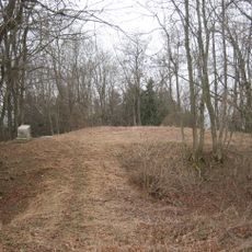 Burgstall Wolfertschwenden