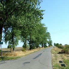 Mała Góra (Wzniesienia Szczecińskie)