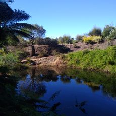 Illawarra Grevillea Park