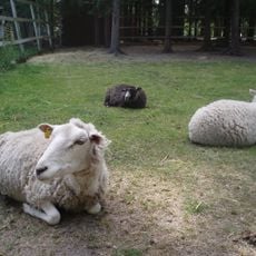 Orimattilan kotieläinpuisto