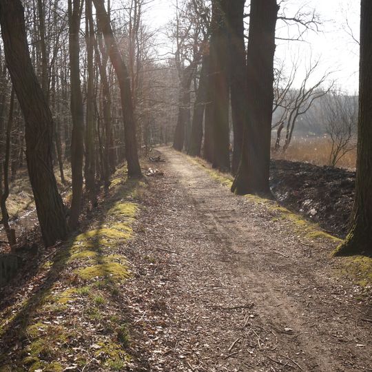 Dubová alej u Blevic