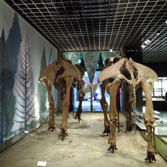 Akashi Municipal Cultural Museum