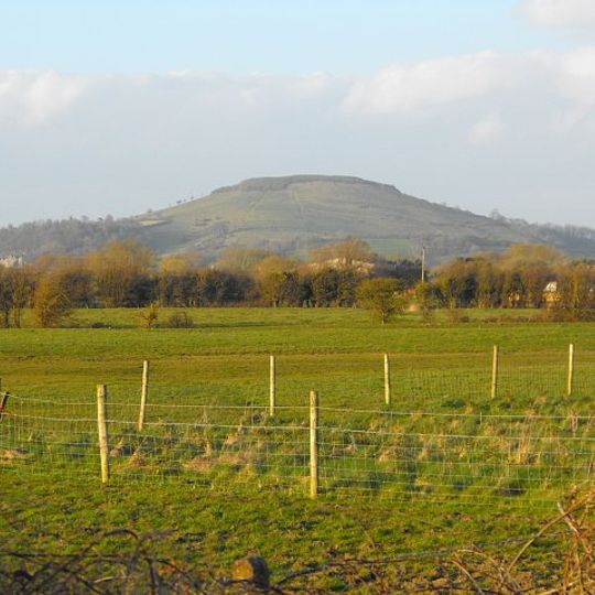 Brent Knoll