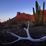 Organ Pipe Cactus National Monument