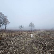 Viewpoint on Stokach – Panorama of Łódź