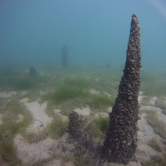 Les Roseaux / La Grande Cité, Stations littorales, Age du Bronze