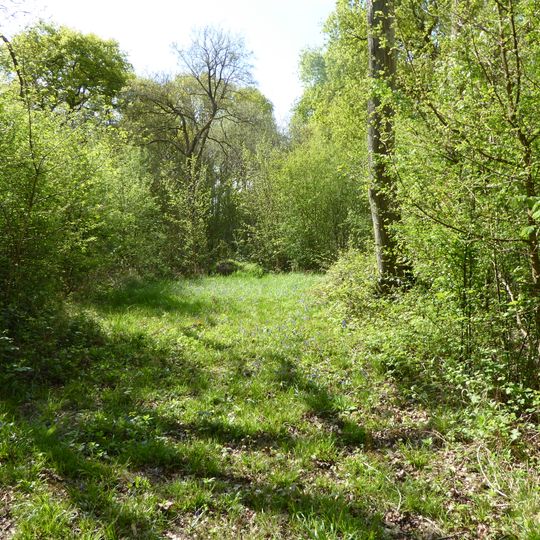 Short Wood and Southwick Wood