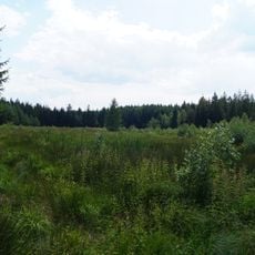Heide und Moorwald am Filzteich