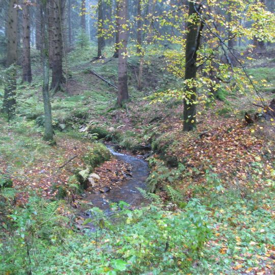 Bachtäler im Kaufunger Wald
