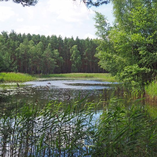 Erlenbruch - Oberbusch Grüngräbchen
