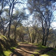 Robie Point Fire Break Trail