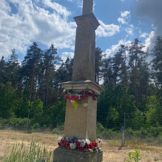 Miejsce Pochowku Zmarlych Podczas Epidemi Cholery W Brzesku