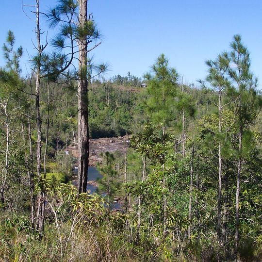 Reserva Forestal Mountain Pine Ridge