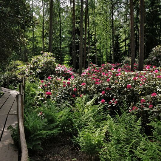 Haaga Rhododendron Park