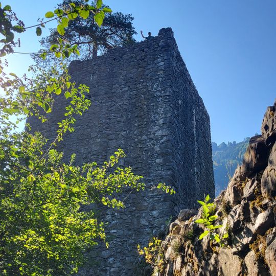Ruine Weissenau